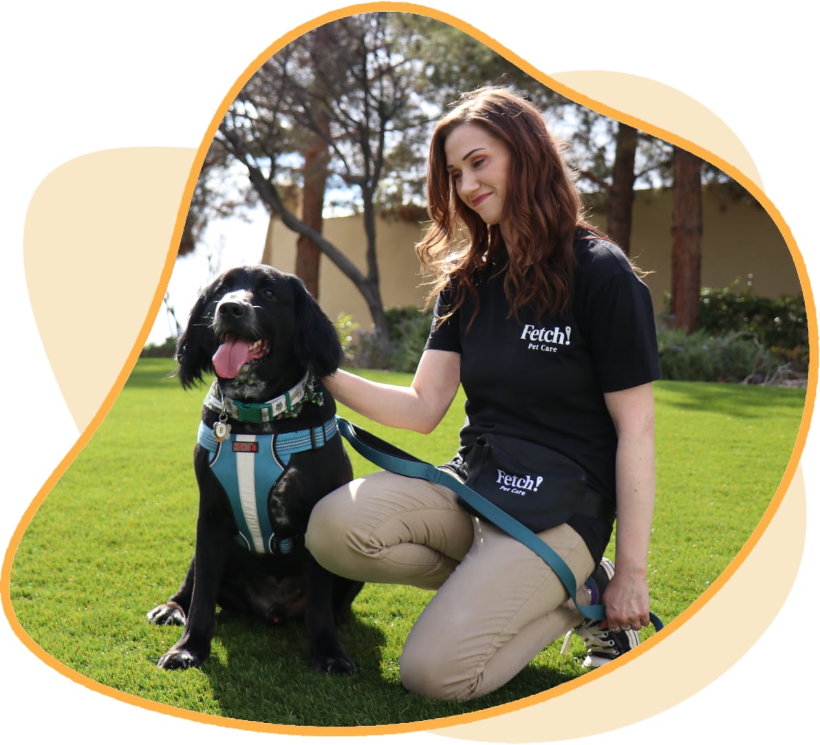 Pet Sitter in Bedford Park, IL